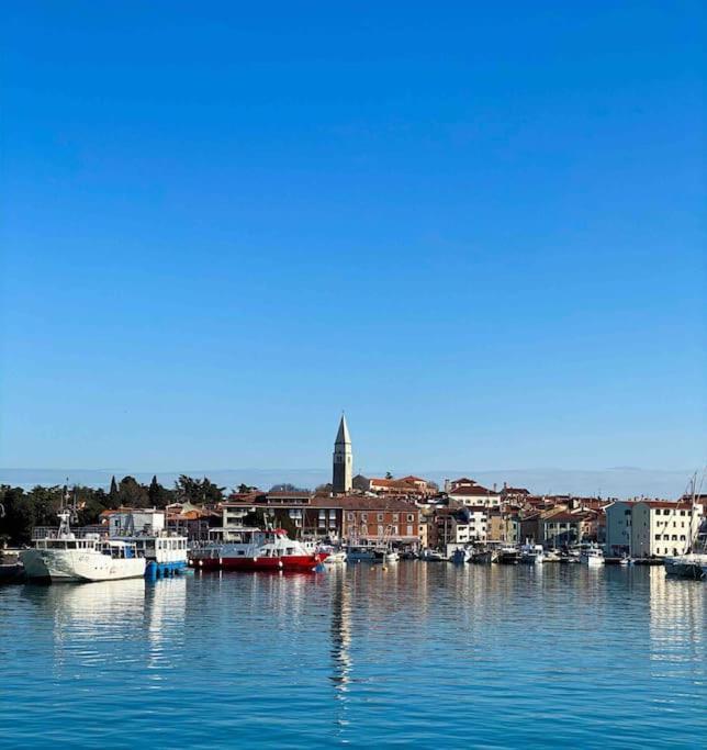 Izolanka / Great Location / Sea And View